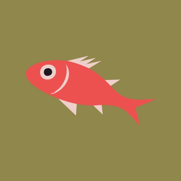 La carte - La Cour Du Coin - restaurant NANTES - meilleur bistrot nantes  - restaurant nantes beaujoire - restaurant route de paris nantes - manger a NANTES