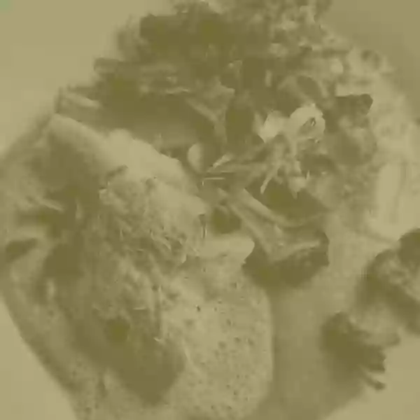La carte - La Cour Du Coin - restaurant NANTES - meilleur bistrot nantes  - restaurant nantes beaujoire - restaurant route de paris nantes - les meilleurs restaurant de NANTES
